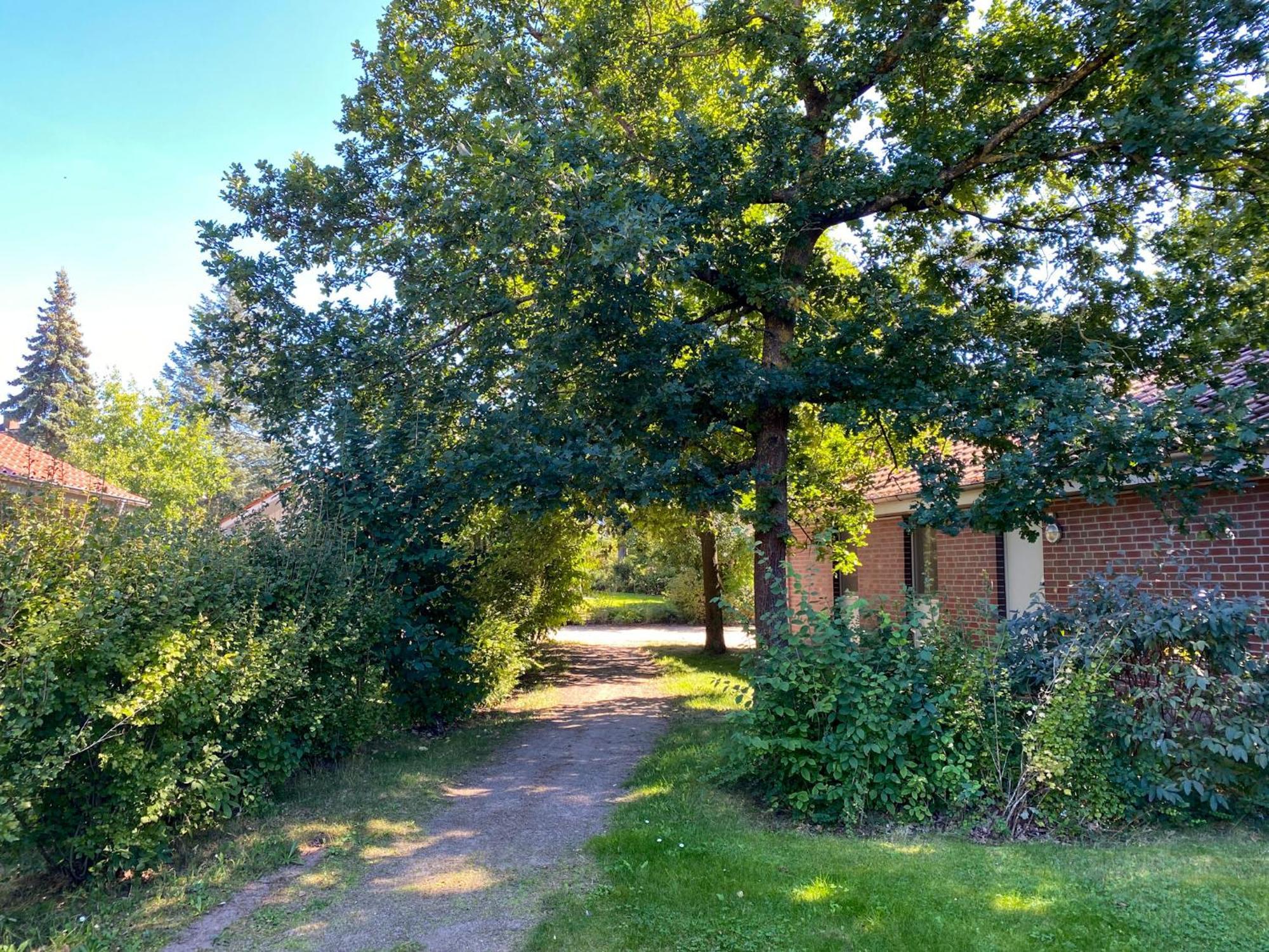 Ferienhaus Wiesengefluester W10 - Mit Sauna, Kamin Und Garten Ребель Екстер'єр фото